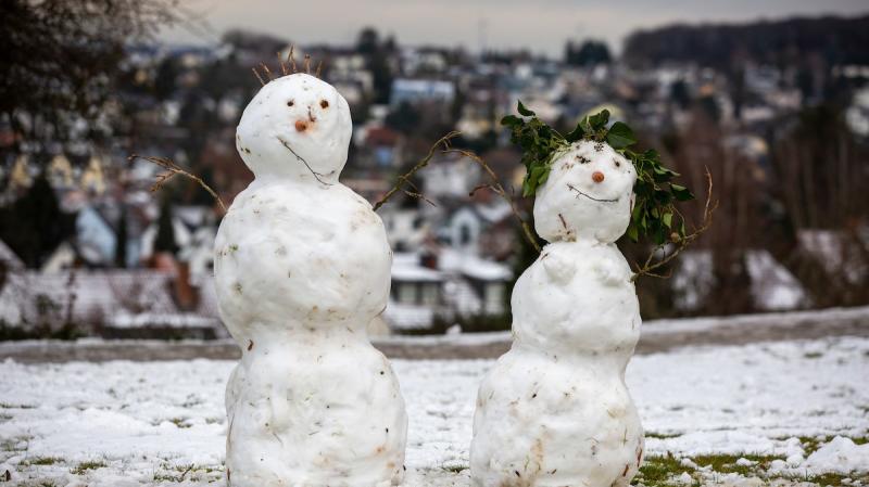 Zwei Schneemänner mit Möhren als Nase und Zweigen als Arme. Im Hintergrund unscharf ein Ort an einem Hang.